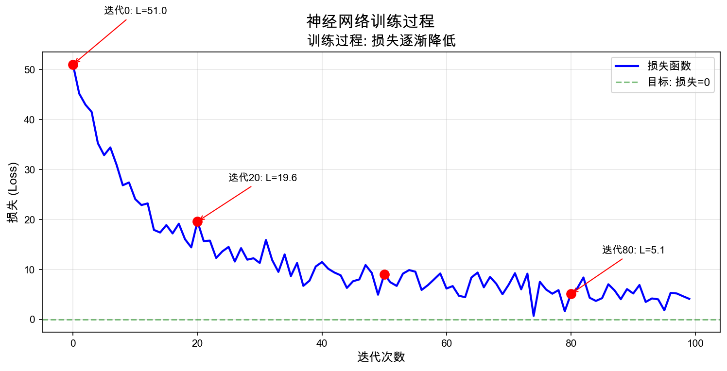 训练过程